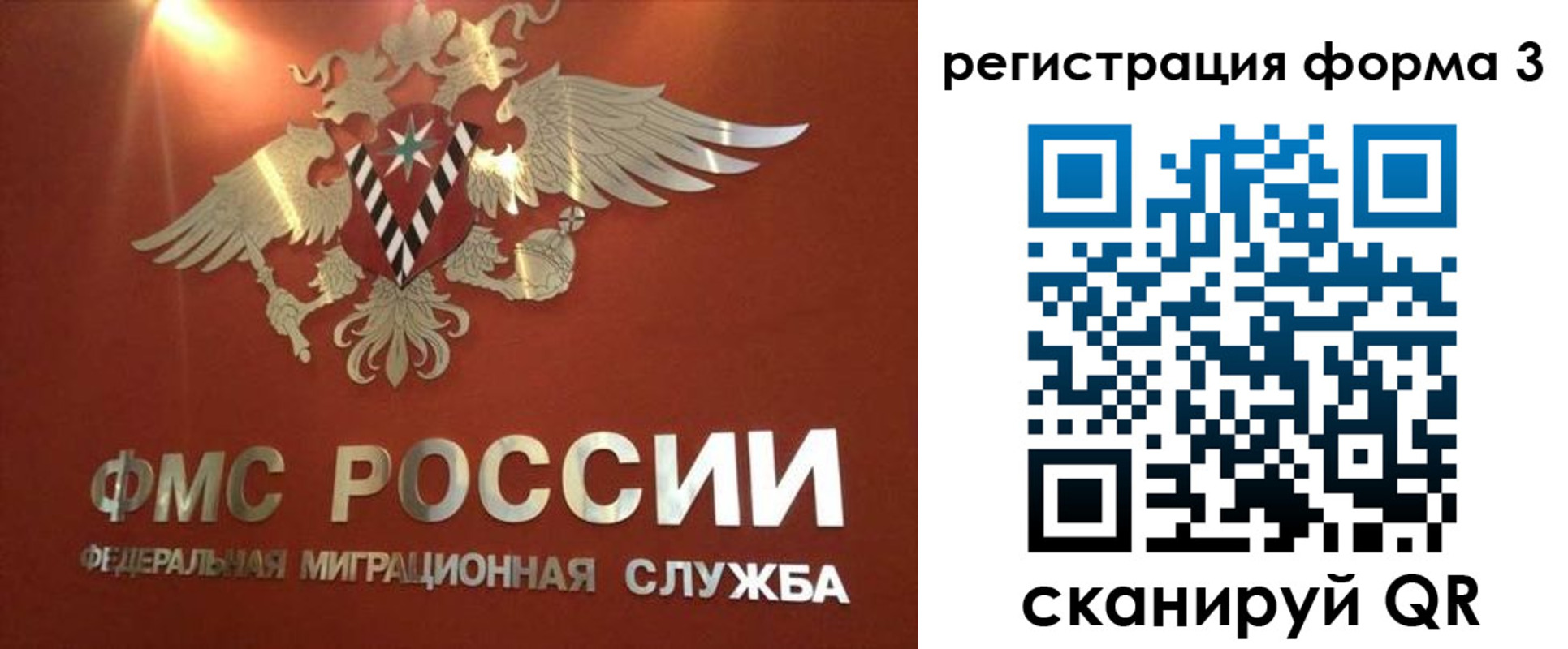 временная регистрация недорого в Невеле